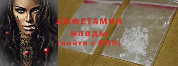 индика Покров