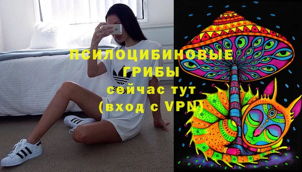 синтетический гашиш Алексин